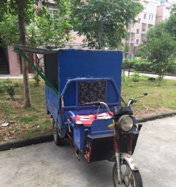 電瓶三輪車 實(shí)用與經(jīng)濟(jì)的出行選擇